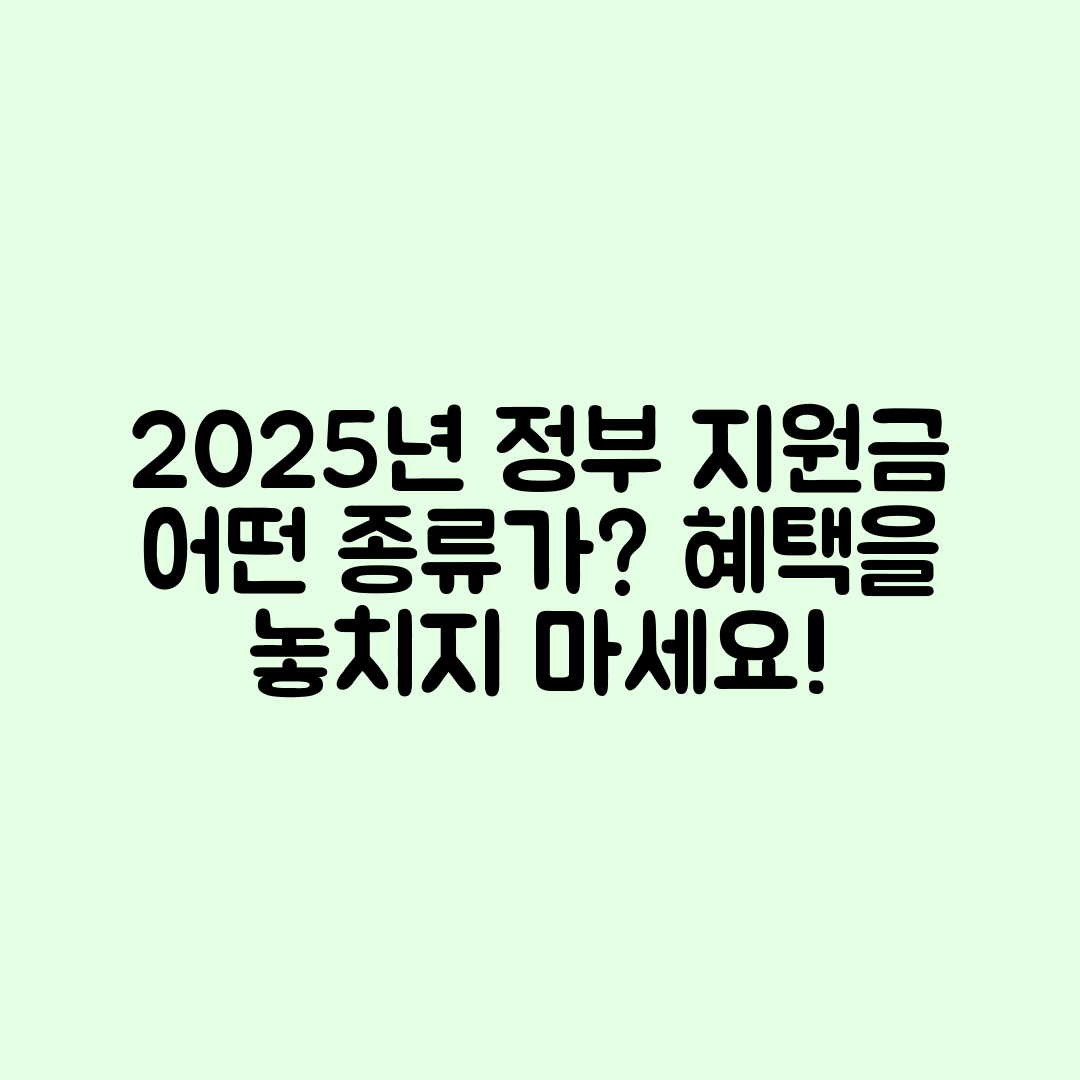 2025년 정부 지원금, 어떤 종류가 있을까요?